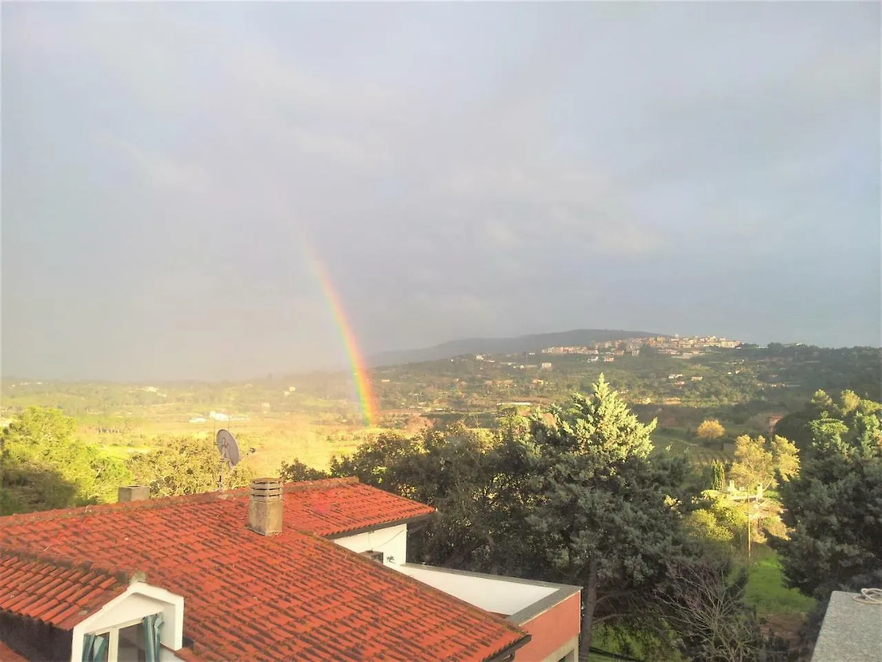 Appartamenti Gli Alberi Capoliveri